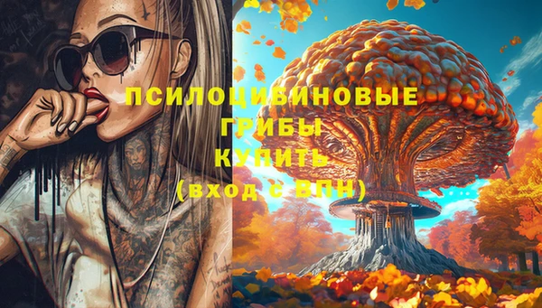 спиды Абаза