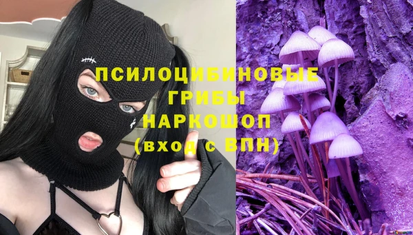 спиды Абаза