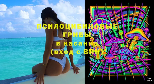 ПСИЛОЦИБИНОВЫЕ ГРИБЫ Михайловск