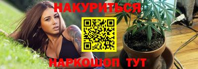 индика Пугачёв