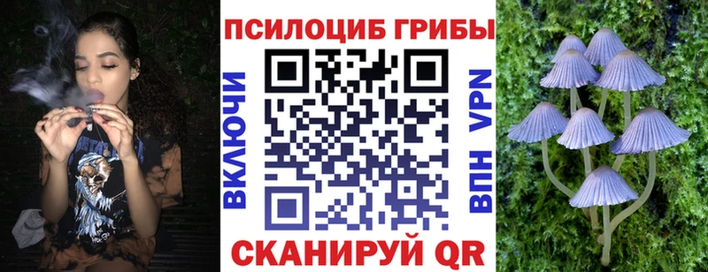 купить наркоту  Шадринск  Галлюциногенные грибы Magic Shrooms 