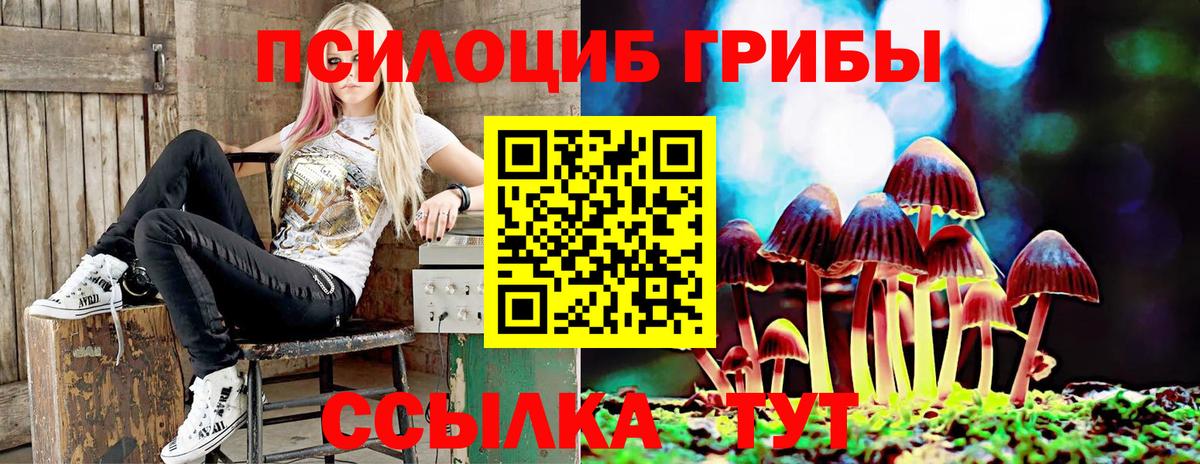Шадринск  Псилоцибиновые грибы мухоморы  Вход с VPN 