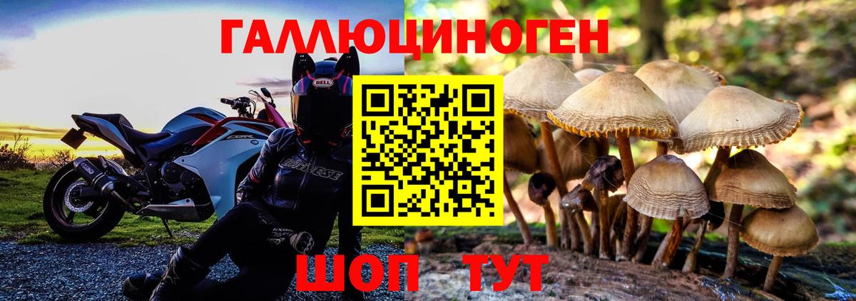 Псилоцибиновые грибы Magic Shrooms Шадринск